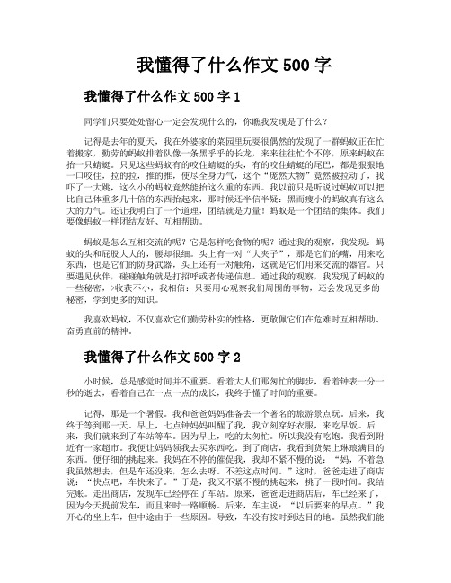 我懂得了什么作文500字