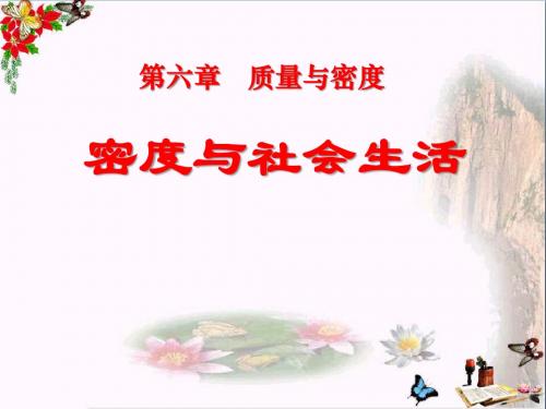 《密度与社会生活》质量与密度 精品PPT课件6(共24张)