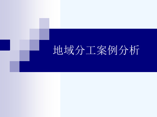 地域分工案例分析(浙江温州).ppt