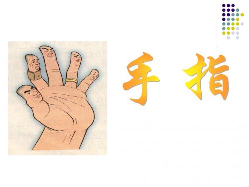 5、《手指》PPT课件