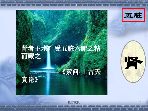 中医讲座-肾(模板参考)