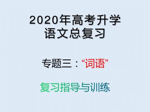 2020年高考升学语文总复习专题三 词语