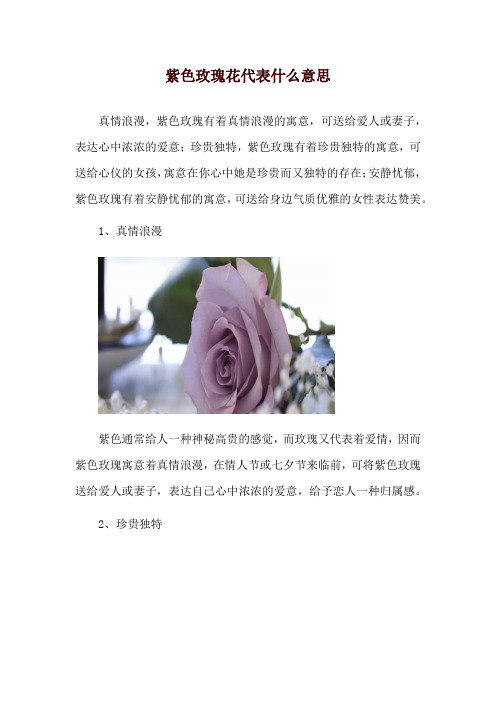 紫色玫瑰花代表什么意思