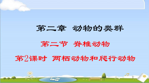 2024年秋新人教版生物七年级上册课件 第二章 动物的类群 2.2.2 第2课时 两栖动物和爬行动物