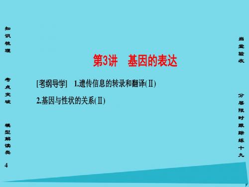 2017版高考生物一轮复习 第6单元 遗传的分子基础 第3讲 基因的表达课件