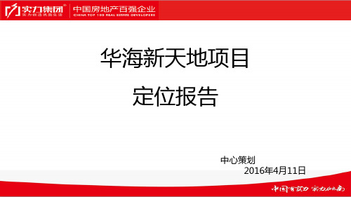 华海新天地项目定位报告