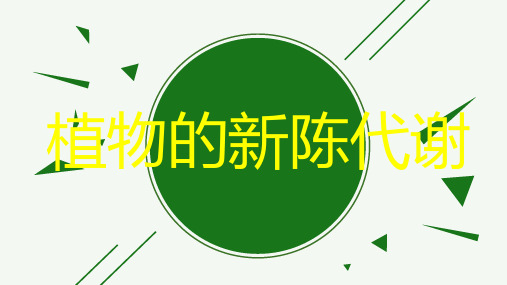 植物的新陈代谢专题复习(PPT课件(初中科学)16张)