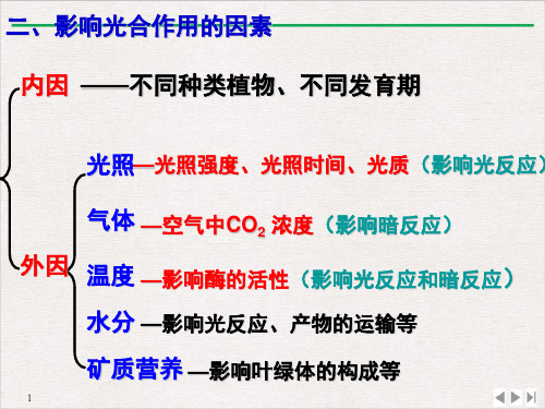 环境因素对光合作用强度的影响PPT课件