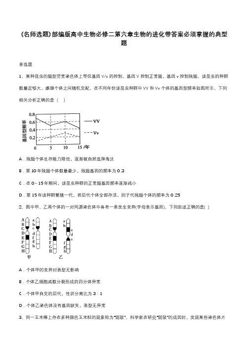 部编版高中生物必修二第六章生物的进化带答案必须掌握的典型题