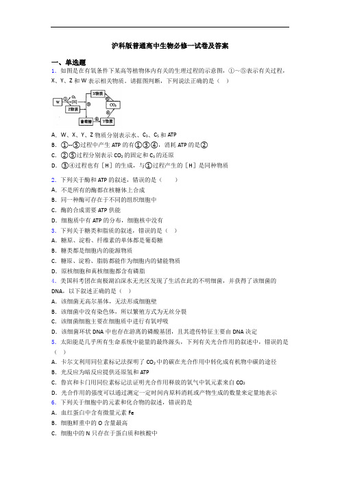 沪科版普通高中生物必修一试卷及答案