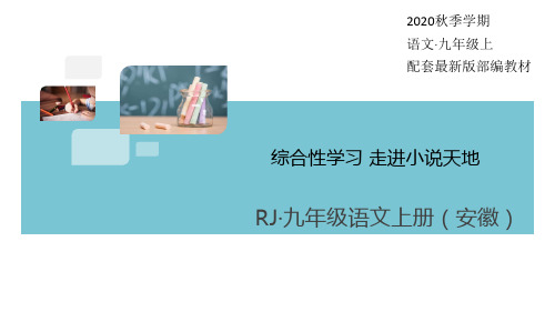 2020秋部编语文九年级上册综合性学习 走进小说天地