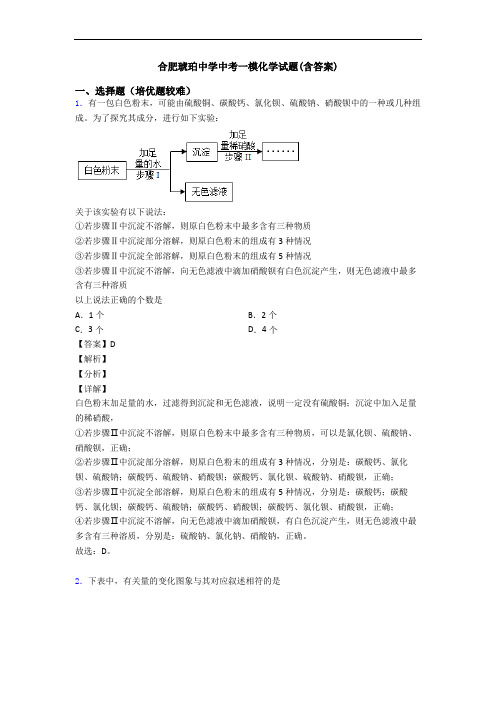 合肥琥珀中学中考一模化学试题(含答案)