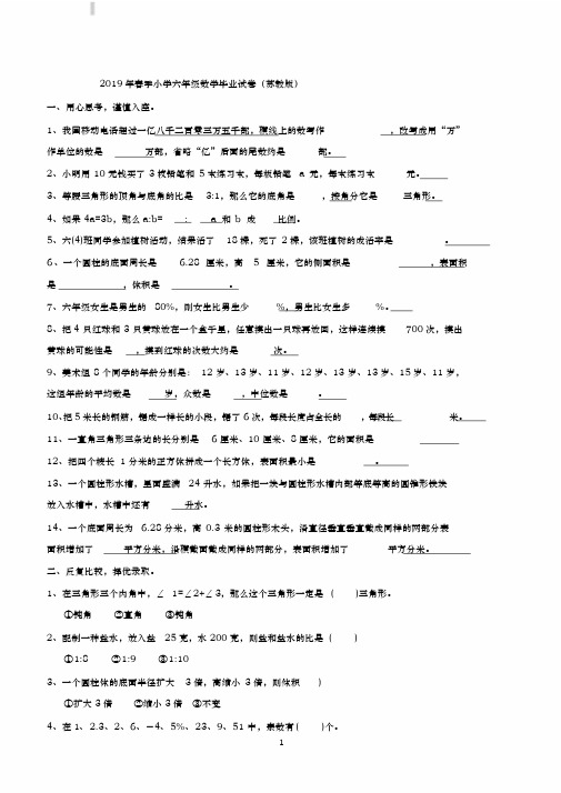 2019年小学六年级小升初数学毕业模拟试卷附参考答案
