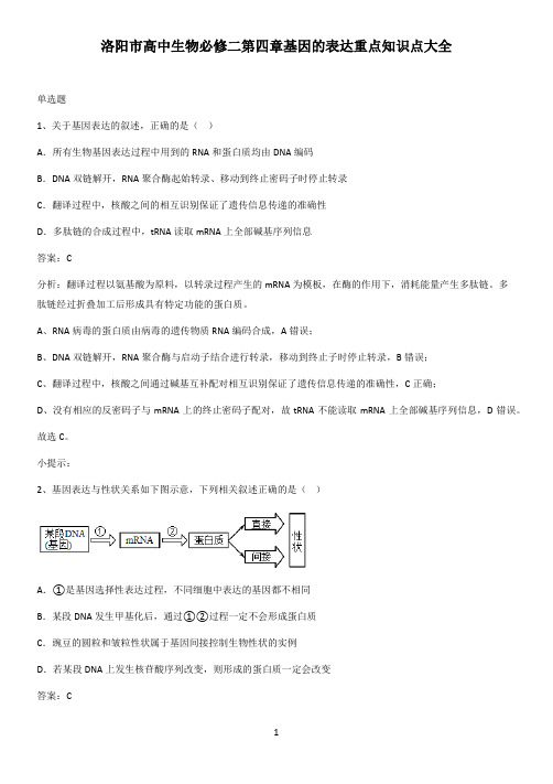 洛阳市高中生物必修二第四章基因的表达重点知识点大全