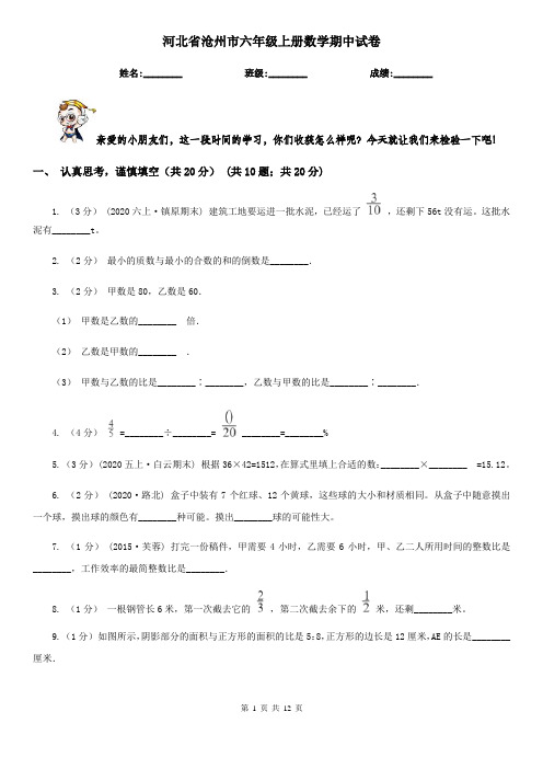 河北省沧州市六年级上册数学期中试卷