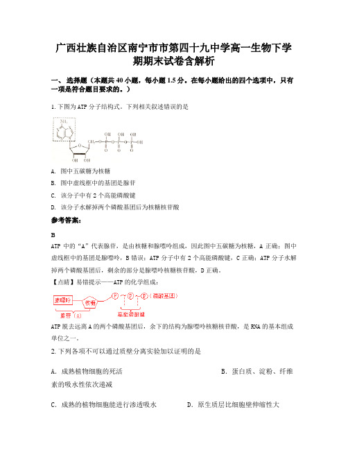 广西壮族自治区南宁市市第四十九中学高一生物下学期期末试卷含解析