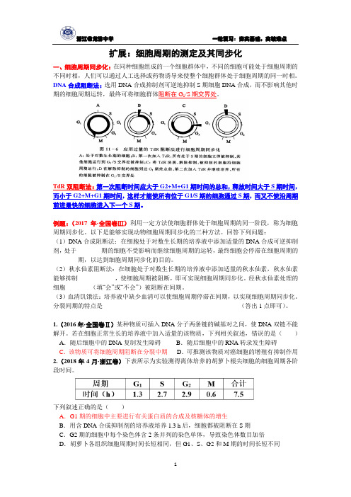 扩展-细胞周期的测定及其同步化