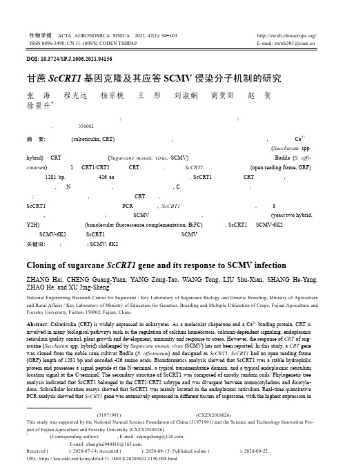 甘蔗ScCRT1基因克隆及其应答SCMV侵染分子机制的研究