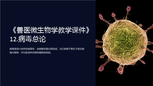 《兽医微生物学教学课件》12.病毒总论