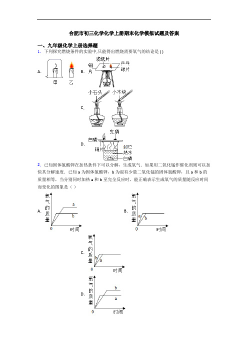 合肥市初三化学化学初三化学上册期末化学模拟试题及答案