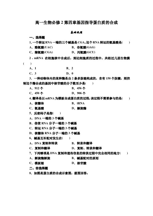 高一生物必修2第四章基因指导蛋白质的合成的题