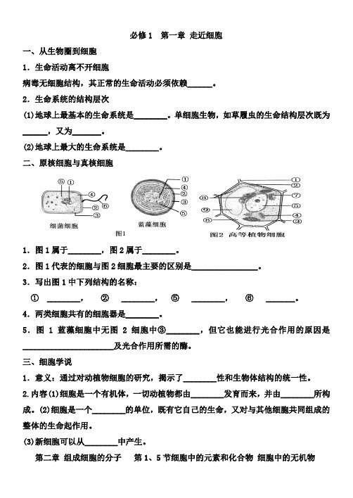 红对勾填空   必修1范文