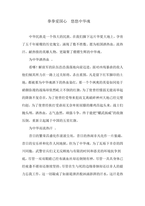 中华魂征文    拳拳爱国心  悠悠中华魂