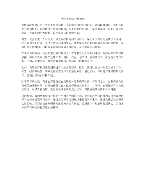 大学生学习计划寒假