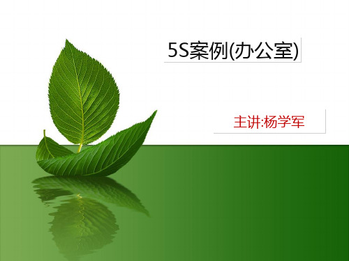 5S案例(办公室版)