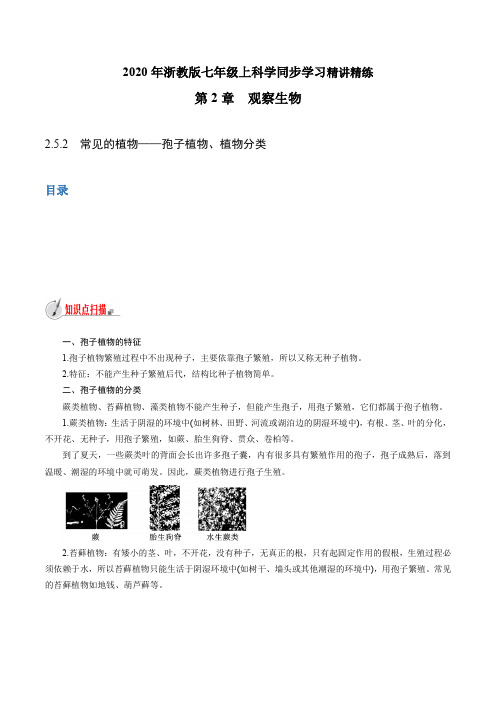 浙江中考 初中科学同步7年级上册 2.5.2 常见的植物——孢子植物、植物分类(教师版含解析)