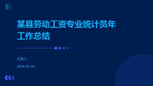 某县劳动工资专业统计员年工作总结