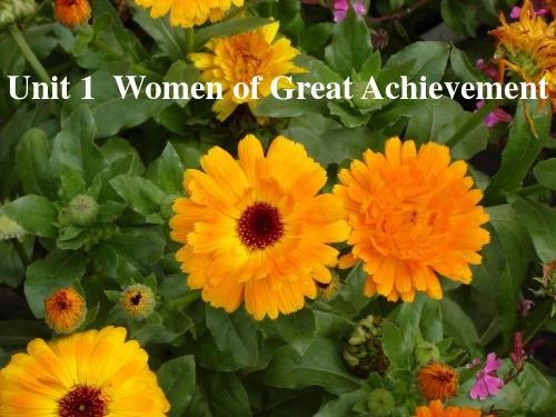 unit-1-women-of-achievementPPT优秀课件