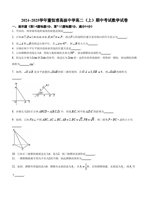 上海市徐汇区董恒甫高级中学2024-2025学年高二上学期期中考试数学试题(含答案)