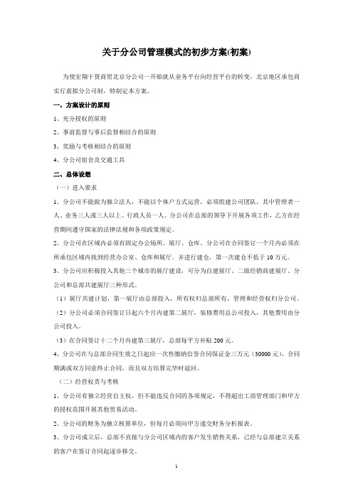 关于分公司管理模式的初步方案