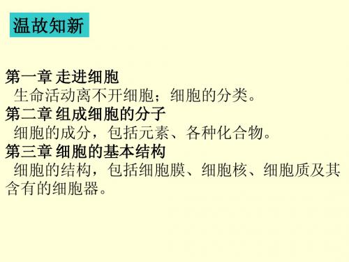物质跨膜运输的实例