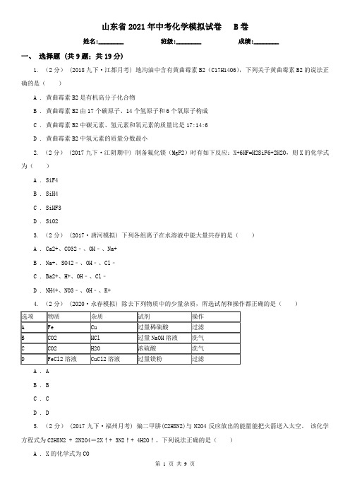 山东省2021年中考化学模拟试卷   B卷