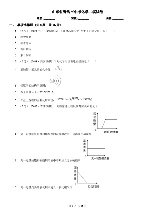 山东省青岛市中考化学二模试卷