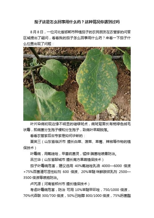 茄子这是怎么回事用什么药？这种情况你遇到过吗