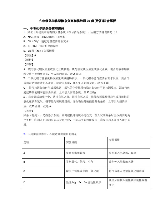 九年级化学化学除杂分离和提纯题20套(带答案)含解析