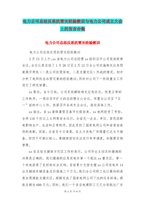 电力公司总结反思抗雪灾经验教训与电力公司成立大会上的发言合集