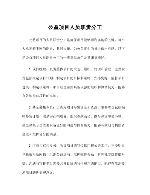 公益项目人员职责分工