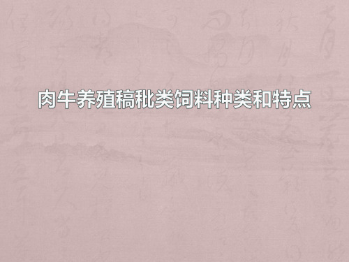 肉牛养殖稿秕类饲料种类和特点