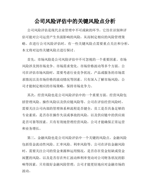 公司风险评估中的关键风险点分析