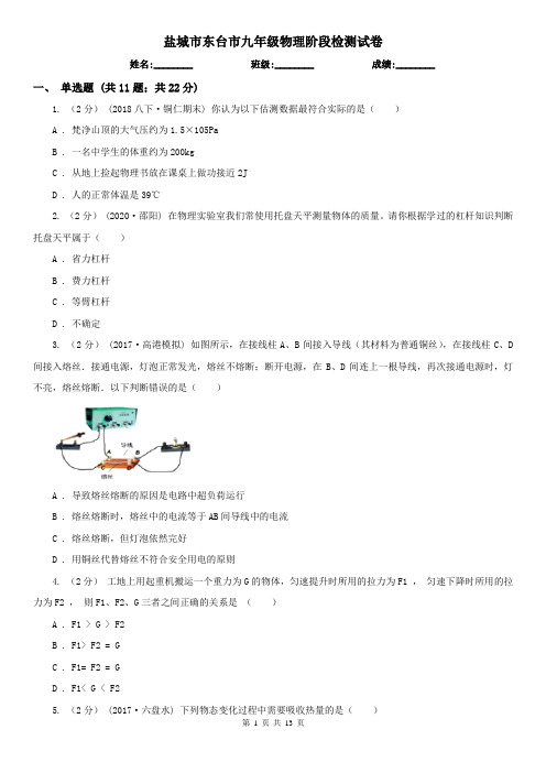 盐城市东台市九年级物理阶段检测试卷