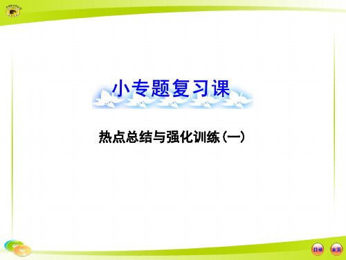 高中全程复习方略配套小专题复习热点总结与强化训练一精品PPT课件