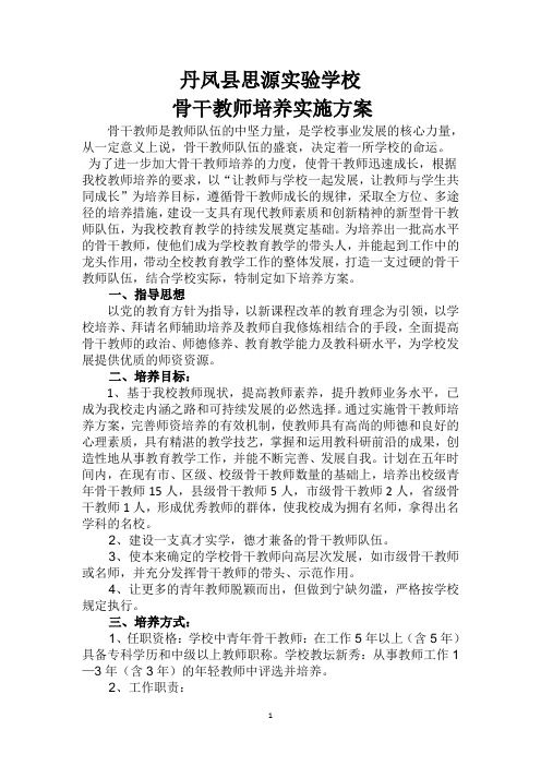 思源实验学校青年骨干教师培养方案1Microsoft Word 97 - 2003 文档 (3)
