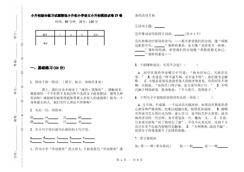 小升初综合练习试题精选小升初小学语文小升初模拟试卷IV卷