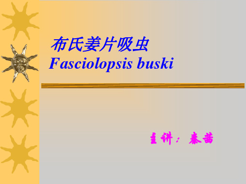 姜片虫、血吸虫分解