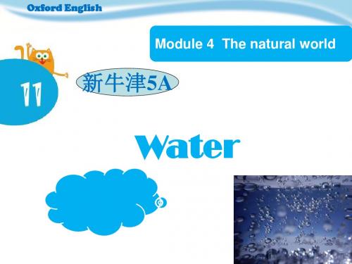 2017上海教育版英语五年级上册Unit 11《Water》