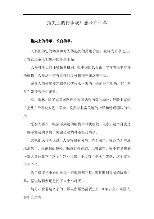 指尖上的传承观后感长白仙草